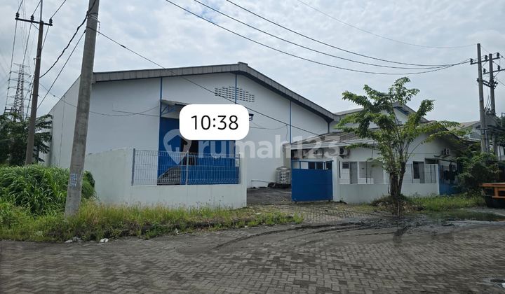 Warehouse for Sale, Quick Sale Needed, Bumi Maspion Romokalisari Surabaya Warehouse for Sale, Quick Sale Needed, Bumi Maspion Romokalisari Surabaya