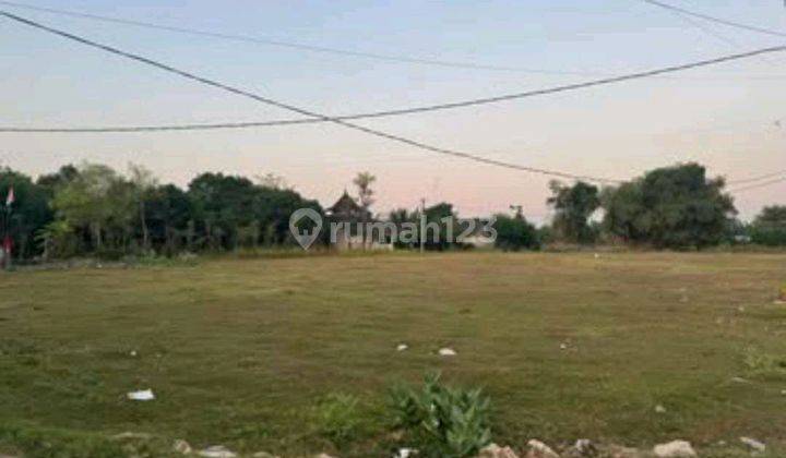 Dijual Sebidang Tanah Tuban Sugihwaras Jenu 1