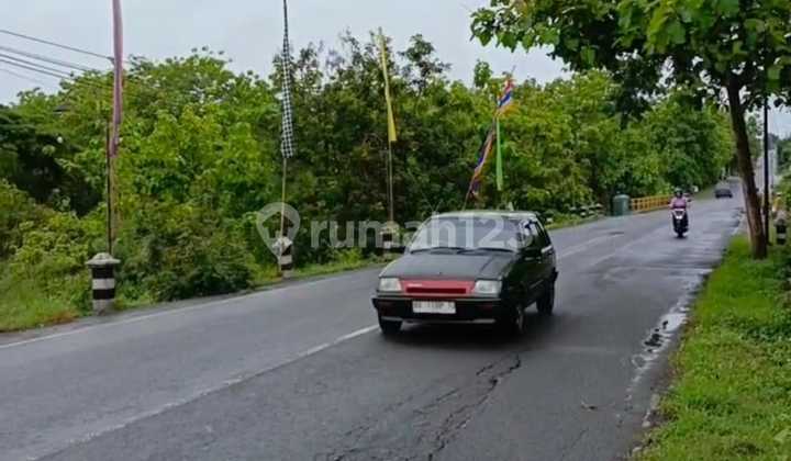 Jual Rumah Raya Karangmojo Ex Resto Nol Jalan Raya Gunungkidul Yogyakarta 2
