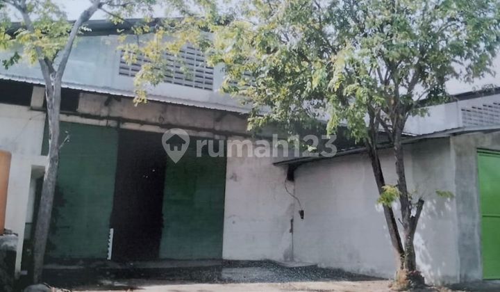 Quick Sale Warehouse in Kalianak Madya, Ready to Use Condition, Includes Warehouse + Office. Quick Sale Warehouse in Kalianak Madya, Ready to Use Condition, Includes Warehouse + Office.