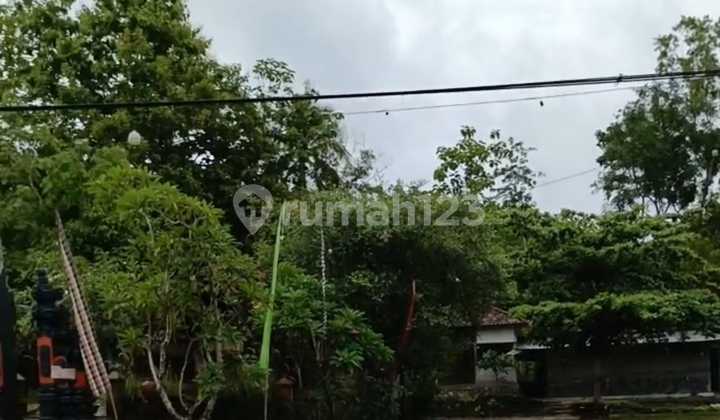 Jual Rumah Raya Karangmojo Ex Resto Nol Jalan Raya Gunungkidul Yogyakarta 1