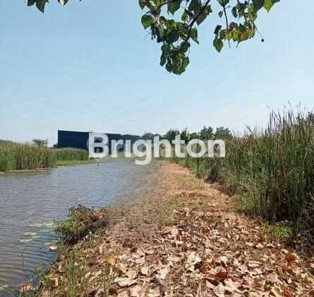 Tanah Komersial Di Wonorejo Dengan Lebar 10, Lokasi Idaman Untuk Investasi Masa Depan Dekat Oerr Dan Kampus Upn