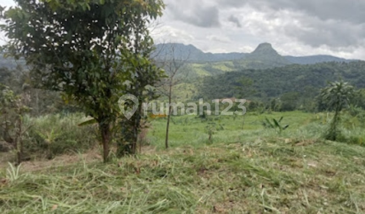 For Sale 2.3 Hectares of Land in Jonggol, West Java For Sale 2.3 Hectares of Land in Jonggol, West Java