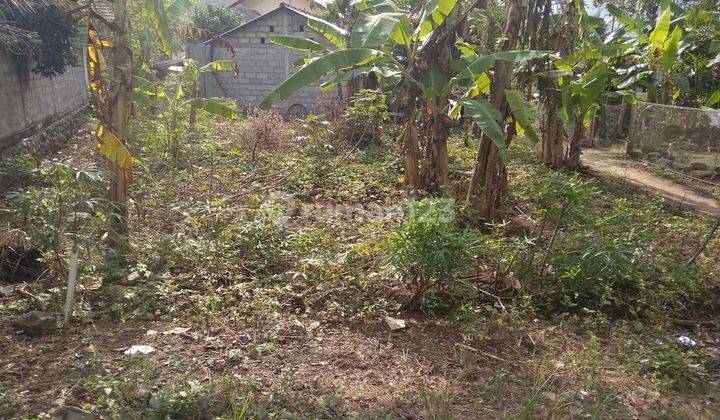 Di Jual Cepat Lahan Pekarangan Nempel Jalan Desa  1