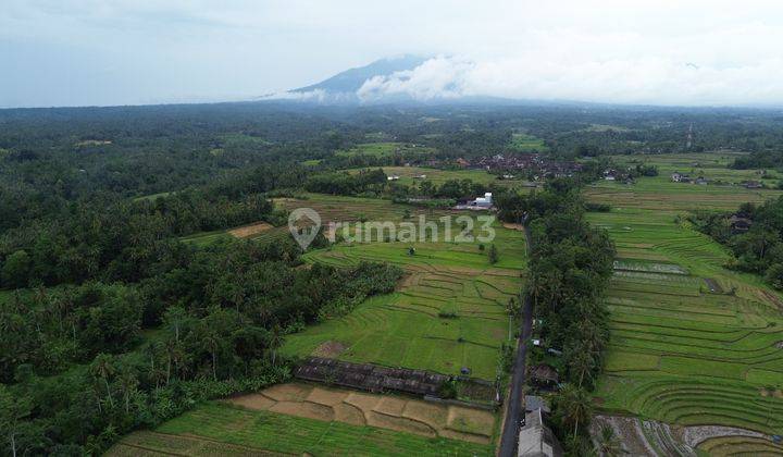 Tanah Datar View Gunung Batukaru Di Tabanan Desa Rejasa 1