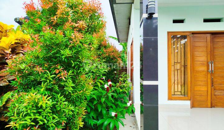 Rumah 2 Kamar 5 Are Furnished Kebun Dan Parkir Luas Di Desa Buduk 2