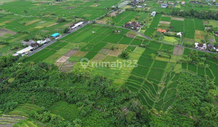 Tanah Sawah View Gunung Di Badung Desa Sibang Gede 1