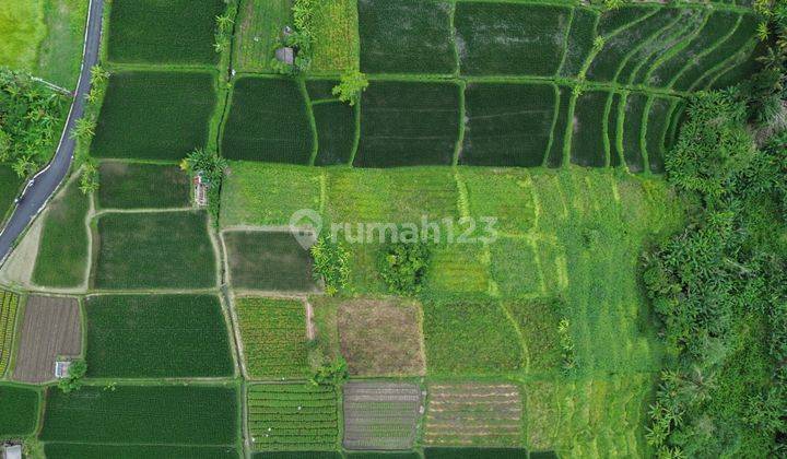 Tanah Sawah View Gunung Di Badung Desa Sibang Gede 2