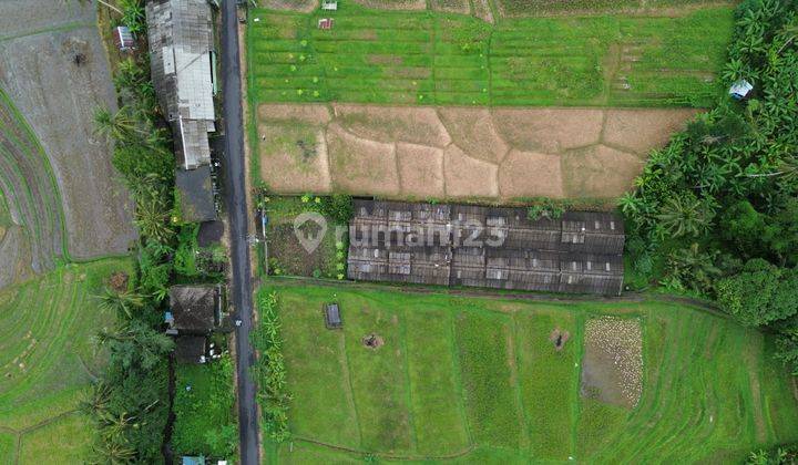 Tanah Datar View Gunung Batukaru Di Tabanan Desa Rejasa 2