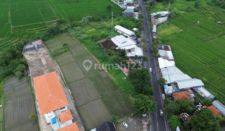 Tanah Memanjang Akses Jalan Utama Di Mengwi Badung 2