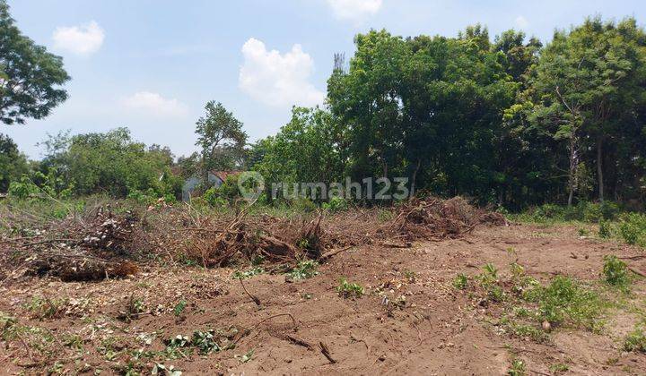 Punya Tanah Jogja Bukan Lagi Mimpi SHM di Kalasan Sleman 1