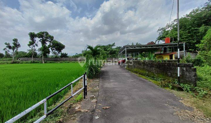 Tanah Murah View Sawah Dan Gunung di Kalasan, Sleman SHM 114 m² 2