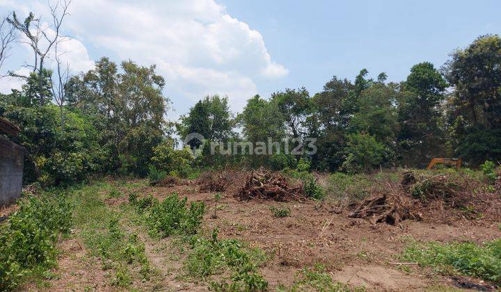 Tanah Kalasan, Tempat Sempurna Untuk Hunian Asri di Jogja. 2