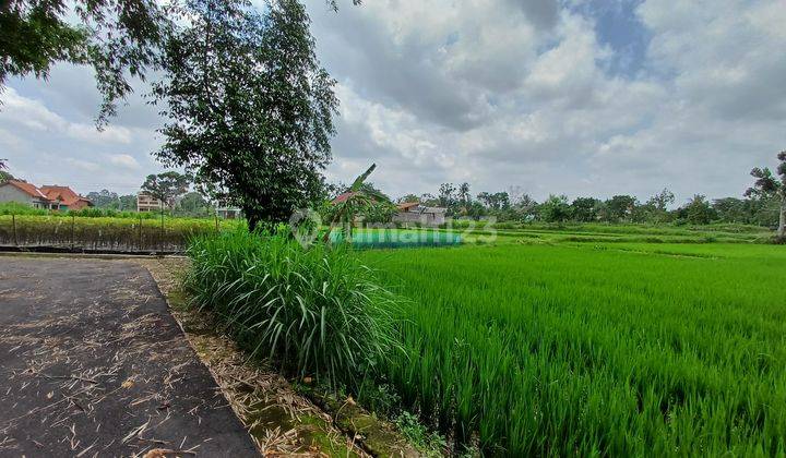 Tanah Murah Purwomartani, Sleman, View Sawah Dan Gunung 2