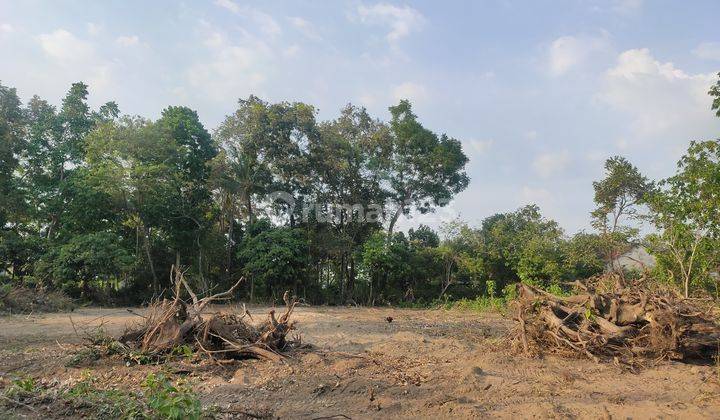 Tanah Pekarangan di Kalasan, Sleman, Prospek Investasi 2