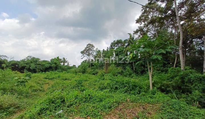 Tanah Murah View Sawah Dan Gunung di Kalasan, Sleman SHM 114 m² 1