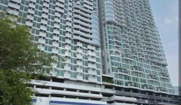 Apartemen Studio Harga Sahabat Di Treepark  1
