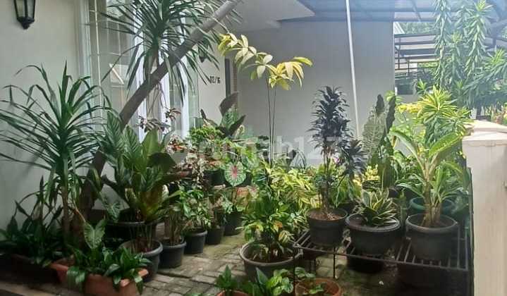 Rumah Siap Huni Di Perumahan Puri Indah Luas 10 X 15 M2 Rumah Siap Huni Di Perumahan Puri Indah Luas 10 X 15 M2