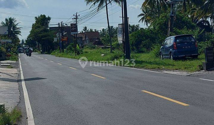 Cocok Untuk Villa, Tanah Murah di Jogja 5 Menit Kopi Klotok 2