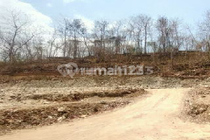 Tanah Jogja Selatan Lt 120 M², Pekarangan