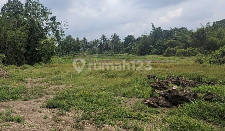 [Certificate] Affordable Land in Yogyakarta Ready to Build, Yard