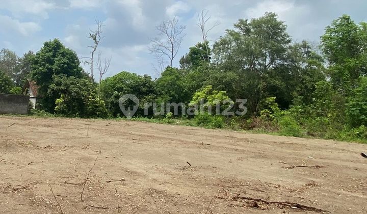 5 Menit Exit Tol Tamanmartani, Pekarangan