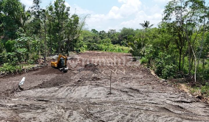 Pekarangan, Profit Lebih Tebal, Cocok Villa Pekarangan, Profit Lebih Tebal, Cocok Villa