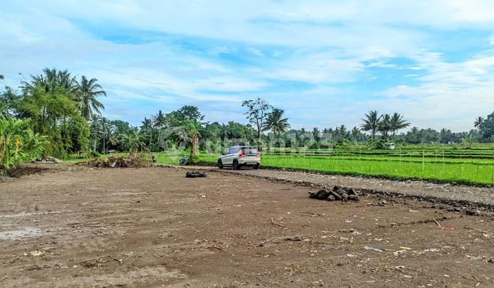 Cheap! Northern Location of Jejamuran Resto Jogja