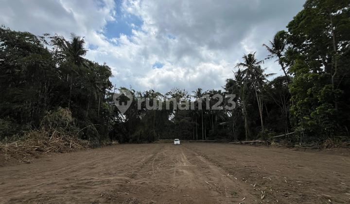 Gratis Balik Nama Untuk 1 Unit Saja, Tanah Tridadi Sleman