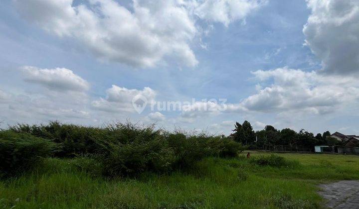 Utara Jogja Expo Center, View Sawah Tengah Kota 2