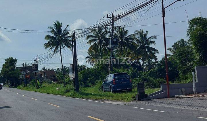 Punya Rumah di Jogja Sangatlah Nyaman, Lingkungan Asri  2