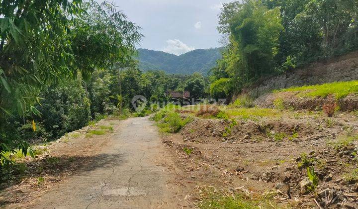 Tanah Termurah di Jogja, Hanya 6 Menit Pasar Pleret Bantul 2