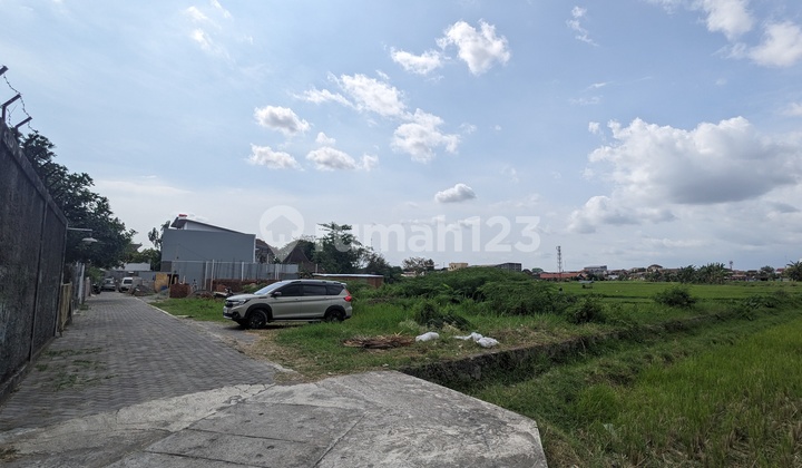 Cocok Hunian Dan Homestay di Jogja, View Hamparan Sawah