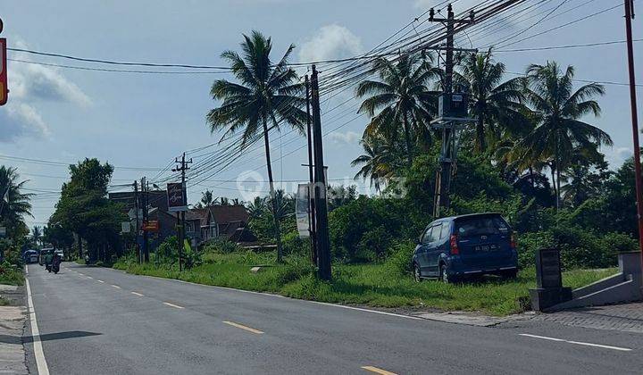 Cocok Untuk Villa, Tanah Murah di Jogja 5 Menit Kopi Klotok 2