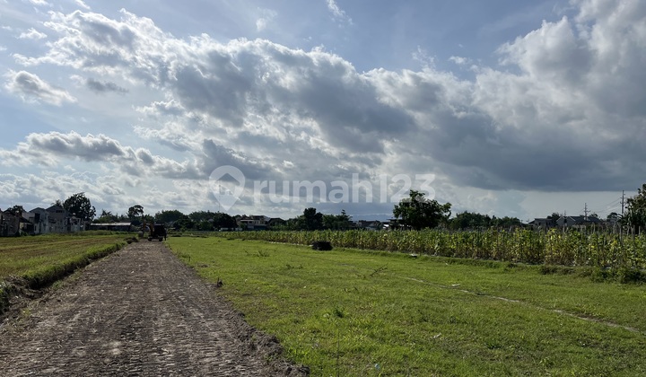 5 Menit Dari Pasar Gamping, SHM Pekarangan