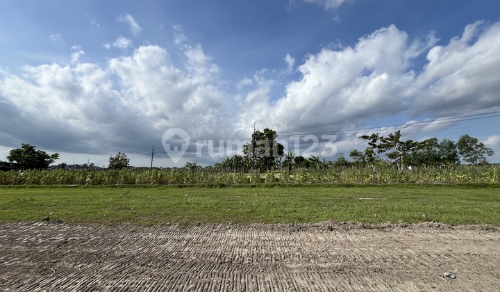 5 Menit Dari Pasar Gamping, SHM Pekarangan