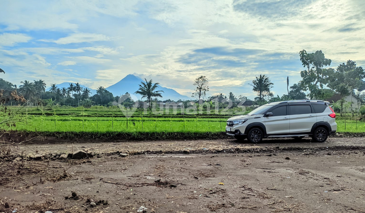Tanah Siap Bangun 200 Meter Jl Pandowoharjo Raya Tanah Siap Bangun 200 Meter Jl Pandowoharjo Raya