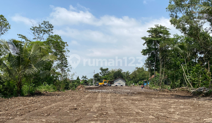 Prospek Bangun Hunian Ala Villa, Tanah Pekarangan Jogja