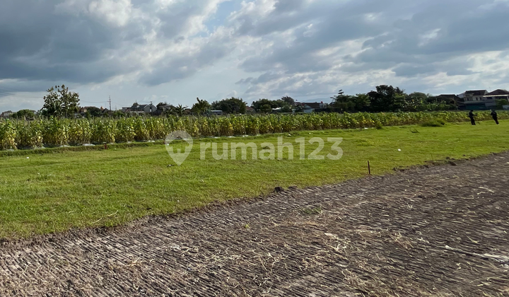 15 Menit Barat Tugu Jogja, bisa Cicil Tanpa Bunga