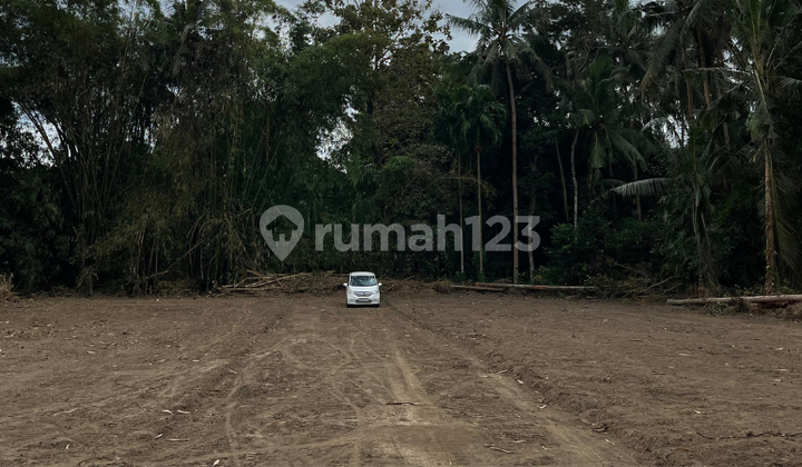 Just 5 Minutes to Sch Mall Jogja, Build-Ready Land Plot Just 5 Minutes to Sch Mall Jogja, Build-Ready Land Plot