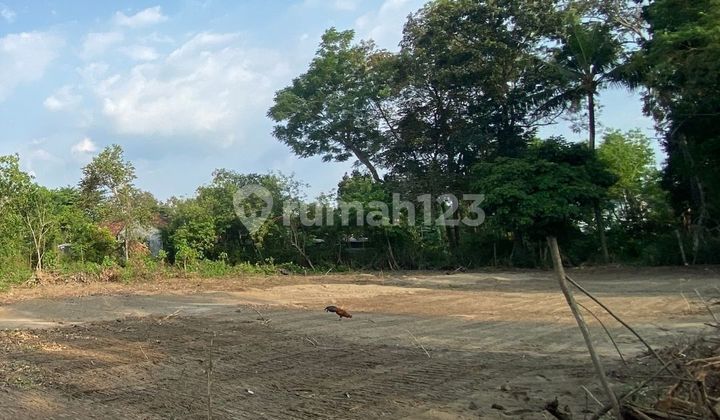 3 Unit Terakhir ! 10 Menit Bandara Adi Sucipto 3 Unit Terakhir ! 10 Menit Bandara Adi Sucipto