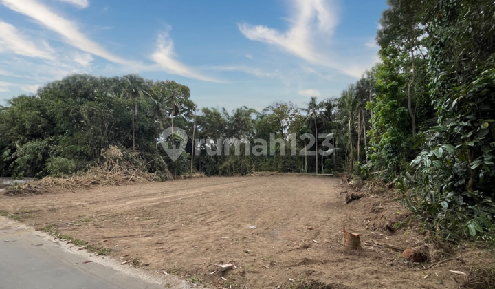 Tanah Murah 100 Jutaan Area Pemda Sleman, Pekarangan