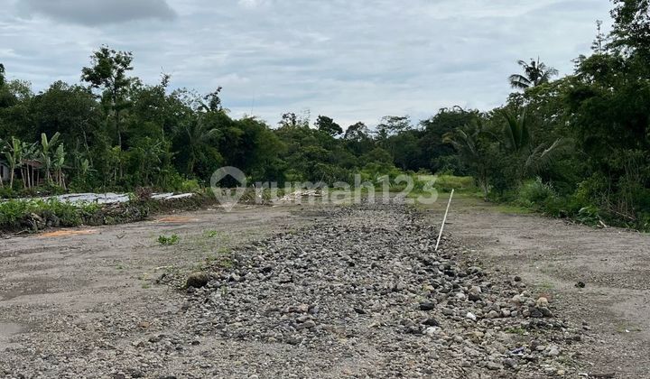 Yogyakarta, the City of Students, Ideal for the Right Investment Yogyakarta, the City of Students, Ideal for the Right Investment