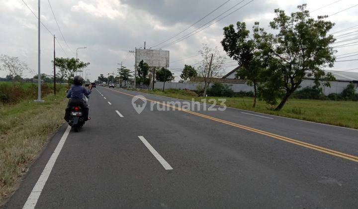 Tanah Murah Madiun Nglames, Dekat Pintu Tol Madiun Cocok Untuk Rumah 2