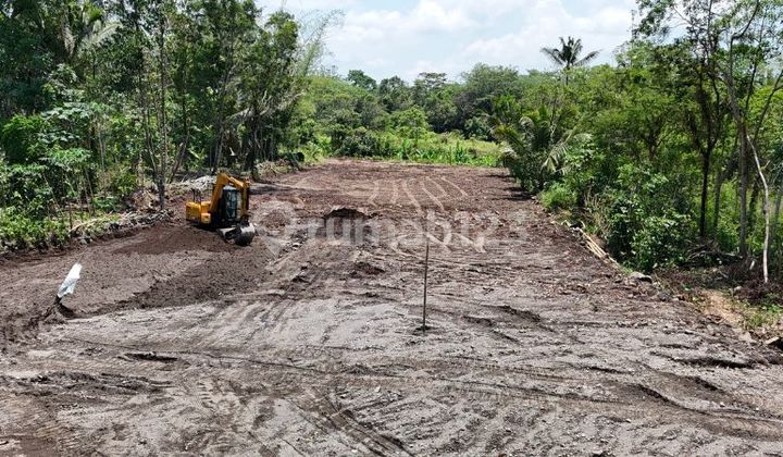 Betulan Sejuk dan Asri Sangat Cocok untuk di Huni