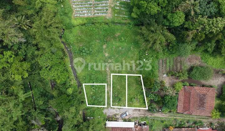 Ready for Name Transfer, West of Kopi Klotok Jogja