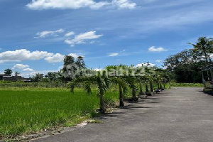 Tanah Jogja Murah Utara Stadiun Maguwo, Gratis Balik Nama