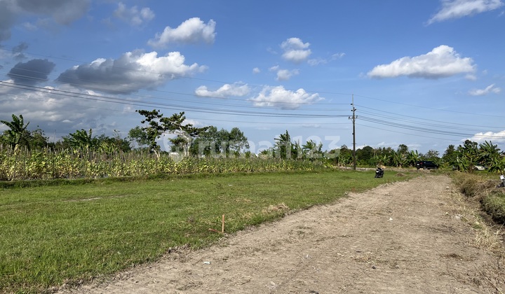 Tanah Pekarangan Jogja, Utara Kampus Umy Tanah Pekarangan Jogja, Utara Kampus Umy