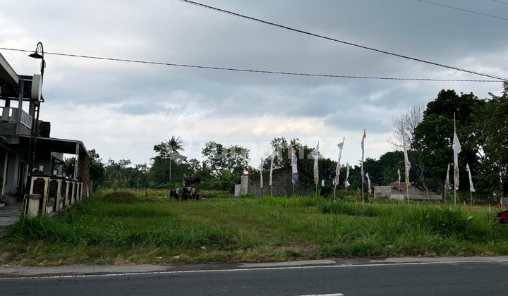 Tanah Tepi Jalan Raya Pandowoharjo, Sleman : Pekarangan Tanah Tepi Jalan Raya Pandowoharjo, Sleman : Pekarangan