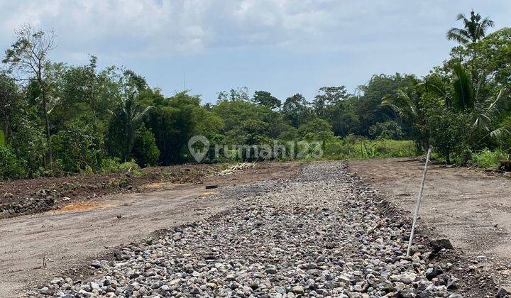 Tanah Jogja Utara Wisata Alam, Cocok Untuk Hunian Atau Villa 2